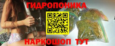spice Аргун