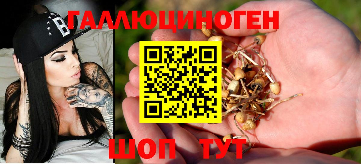 Галлюциногенные грибы GOLDEN TEACHER  Псилоцибиновые грибы мицелий  Вход с VPN  Балаково 
