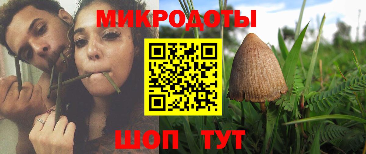 Псилоцибиновые грибы Magic Shrooms Балаково